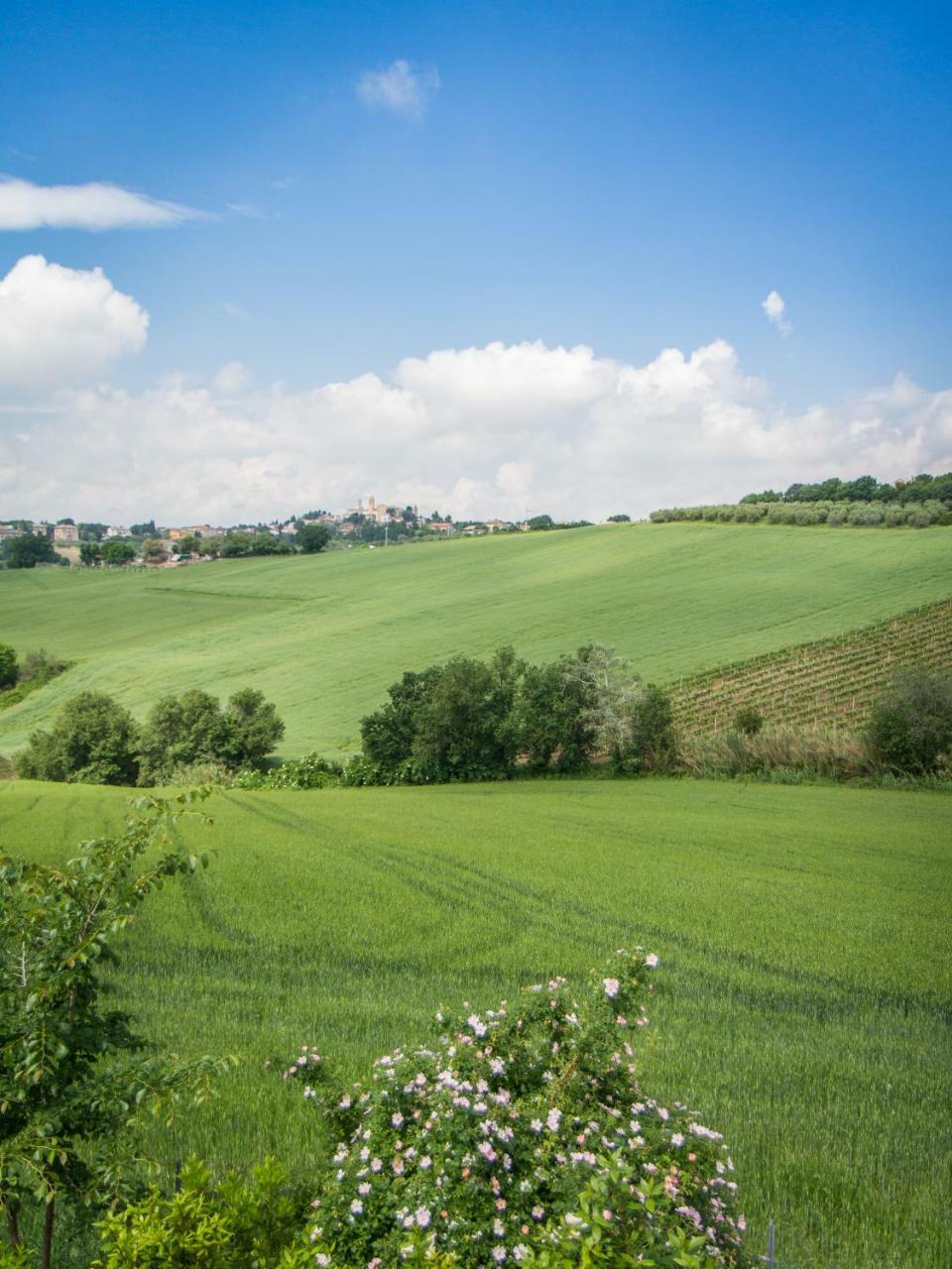 Bed and Breakfast Il Gladiolo San Marcello  Exterior foto